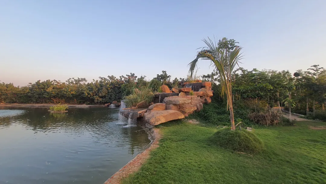 The lakeside in the evening, a rock waterfall and a single palm